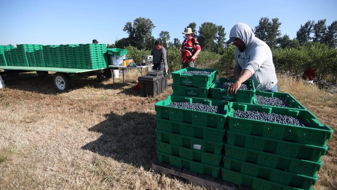 How has Oregon's farm worker overtime law impacted the industry?