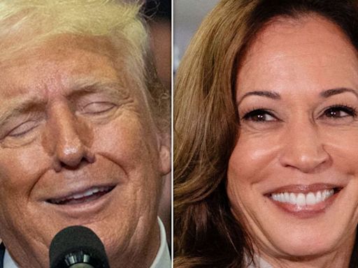 Trump's 4-Word Attack On Kamala Harris Gets Turned Back At Him In Most Humiliating Way