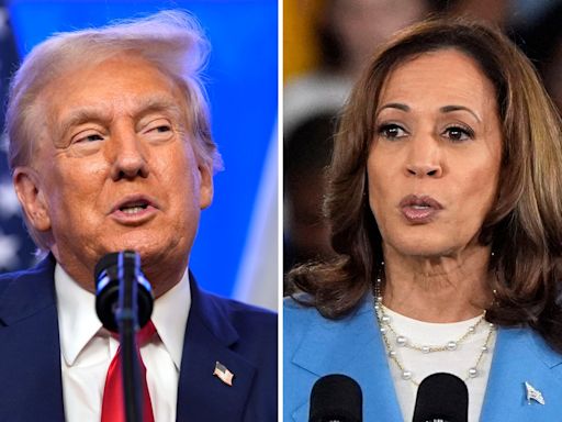 Harris rebukes Vance for calling shootings ‘fact of life’ as Trump slammed for garbled childcare speech: Live