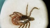 Is Lyme disease spreading faster in Ky. than other states? UK tick expert disputes that