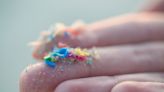 How microplastics can impact health, as scientists discover them in human testicles