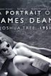 Joshua Tree 1951 : Un portrait de James Dean