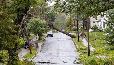 Customers to pay close to $35M for Nova Scotia Power's Fiona bill