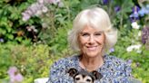 Camilla, Duchess of Cornwall is 75! Kensington Palace Releases New Portraits to Celebrate Her Birthday
