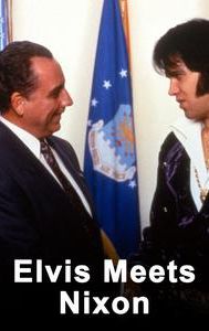 Elvis Meets Nixon