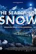 The Search for Snow