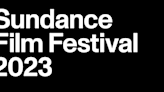 Searching (In Vain) For A ‘Citizenfour’ At Sundance