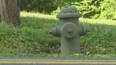 Why some fire hydrants in St. Louis County are temporarily green