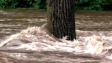 Persistent rains have some Minnesota river levels rising fast