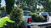 Hauling large items like TVs, Christmas trees this holiday season? How to do it safely