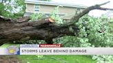 ‘The tree could’ve just crushed us’: Large family expecting twins loses only car in storm