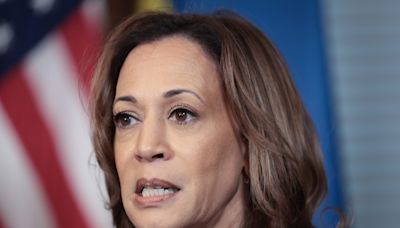 ‘The Worst Democratic Performance in a Generation’: CNN Sounds Alarm on Harris’s Waning Support Among Union Voters