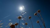 Tormentas secas de madrugada y temperaturas en ascenso hoy en Castilla-La Mancha