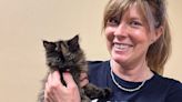 Rare intersex tortoiseshell kitten finds new home