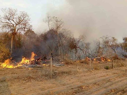 Combaten aún ocho incendios en los departamentos de Beni y Santa Cruz - El Diario - Bolivia