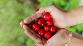 La fruta desconocida que baja el azúcar en sangre y tiene 30 veces más vitamina C que la naranja