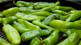 From roasting to cooking: Embrace the Hatch green chile season with exciting options