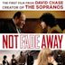 Not Fade Away (film)