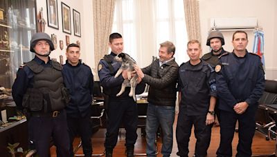 El Ministro Roncaglia entregó un can a Bomberos Zapadores de la Policía | apfdigital.com.ar