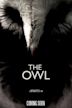 The Owl