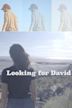 Looking for David