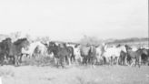 Caprock Chronicles: Horses on the Llano Estacado in the 19th Century