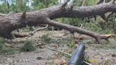 Cleanup continues after tornadoes damaged building, down trees in Tallahassee