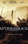 Aftershock (2010 film)