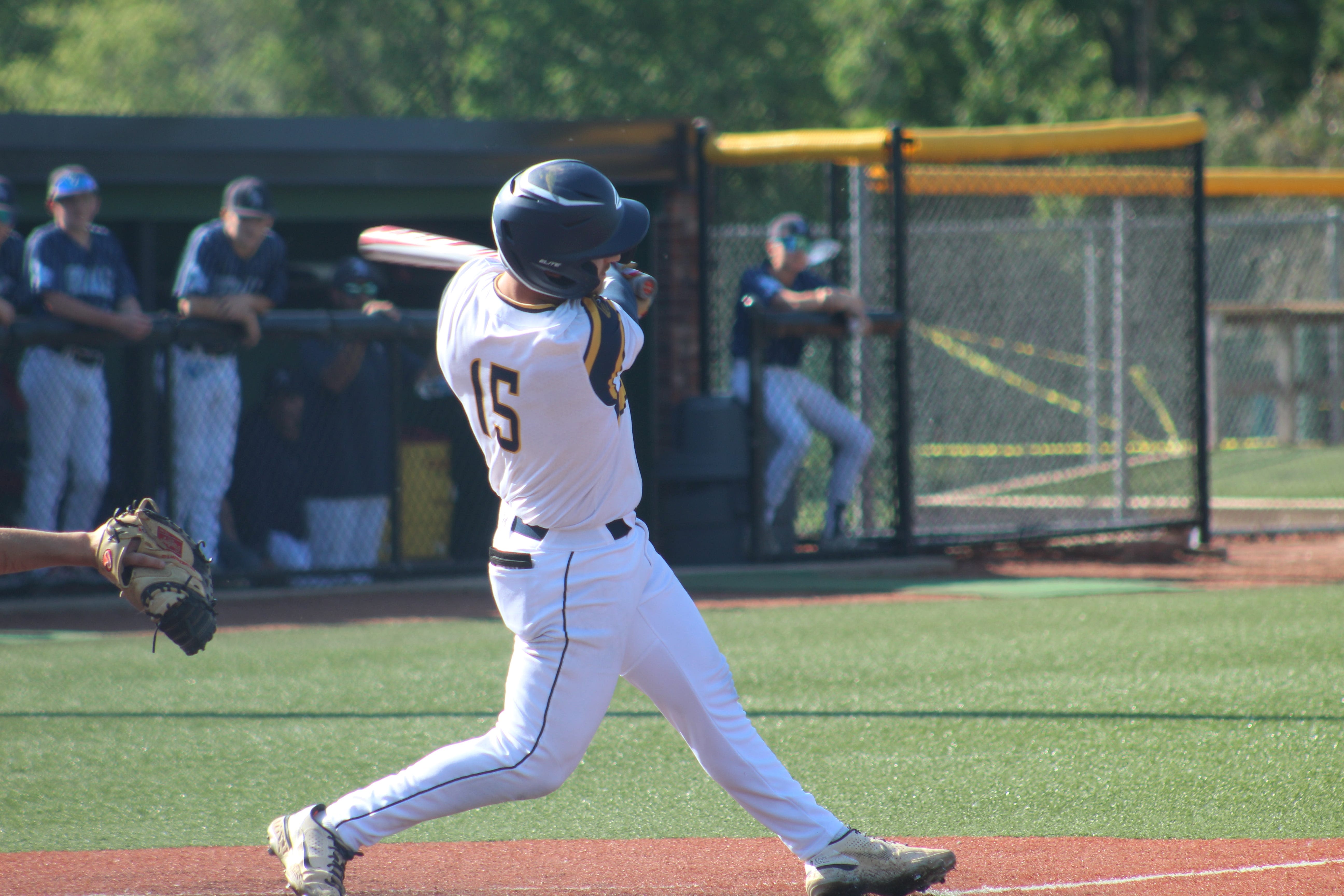 How dugout liveliness and morale played key role in Hillsdale's baseball district title