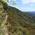 Castle Rock State Park (California)