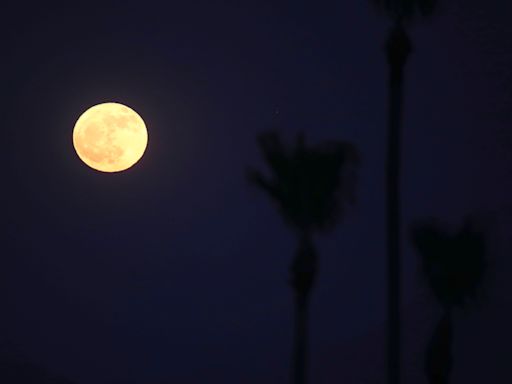 When is the next full moon? It's going to be a super one in August