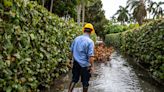 Tropical Storm Nicole: When can town of Palm Beach expect the worst weather?