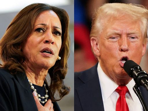 Donald Trump Privately Rants That Kamala Harris Is a ‘B***h’ as His Polls Plunge