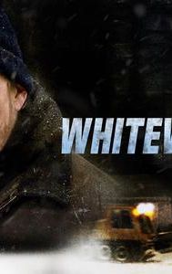 Whitewash (2013 film)