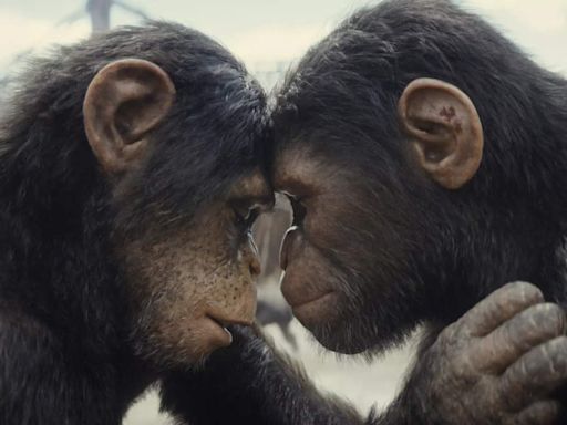 Kingdom of the Planet of the Apes: Digital release date unveiled - What we know avout streaming availability