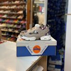 Reebok PUMP FURY SG 芋頭色 紫色 灰色 扶桑花 花 充氣 充氣鞋 V70101