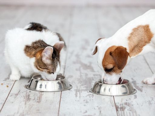 Partner in Pet Food’s private-equity ownership changes hands