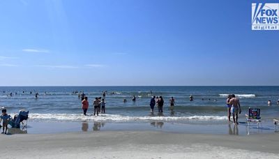 Shark bite reported at Hilton Head Island resort is first reported shark bite of year on island