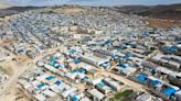 Experta de la ONU ve "muy difícil" ubicar a los desaparecidos sirios sin ayuda de Damasco