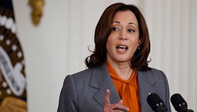 Focus group of voters offer ‘brutal’ take of VP Harris: Not ‘someone I want running my country’