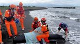 屏東縣塭豐海堤沙灘鯨豚擱淺 海保署MARN團隊搶救中