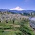 Mount Hood Railroad