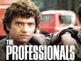 The Professionals