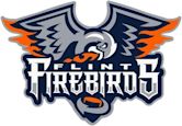 Flint Firebirds