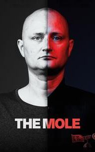 The Mole