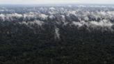 Reino Unido pode se juntar ao Fundo Amazônia para ajudar a controlar desmatamento, diz ministra britânica