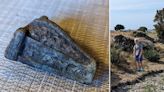 8-year-old picks up odd-looking item on beach vacation — and finds Viking-era artifact