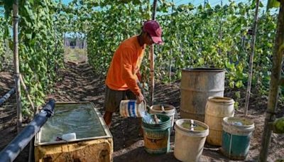 Urgen reponer apoyos al agro