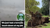 ¿Impactó un tornado a Homestead? Te explicamos