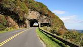 Cierran un tramo de la autopista Blue Ridge Parkway porque unos visitantes "alimentaban e intentaban cargar a un osezno"